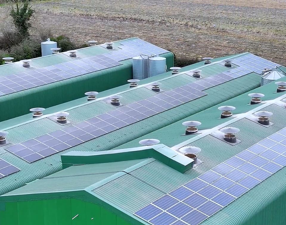 Agri Solar Installation Louth Solution Image showing aerial view of Belview Eggs with hundreds of solar panels on their rooftops, installed by Ohk Energy.