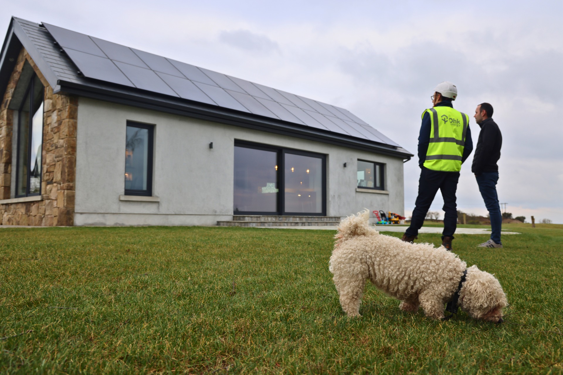 Solar panels installed on a roof in Offaly, with a dog in the foreground and an Ohk energy employee & customer behind.